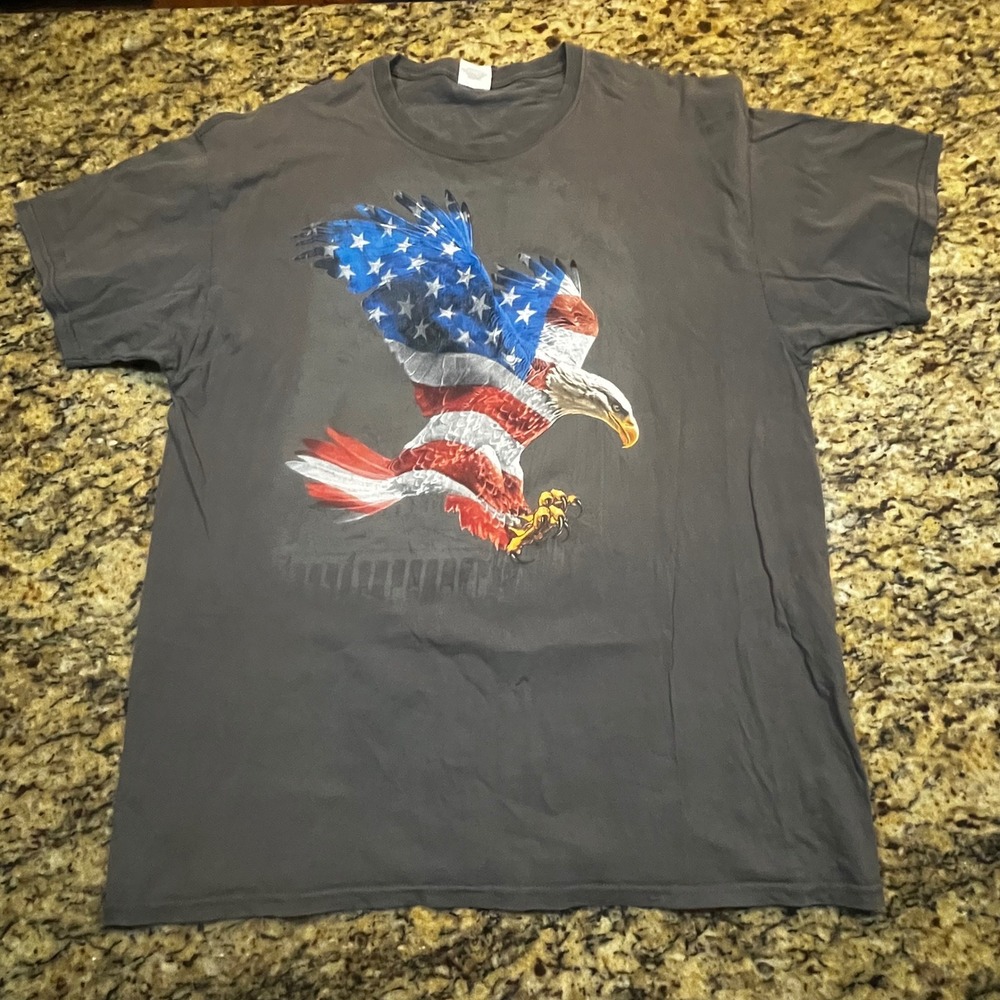 Fruit of‎ the Loom Mens American Flag Eagle Graphic T-Shirt Gray HD Cotton Large